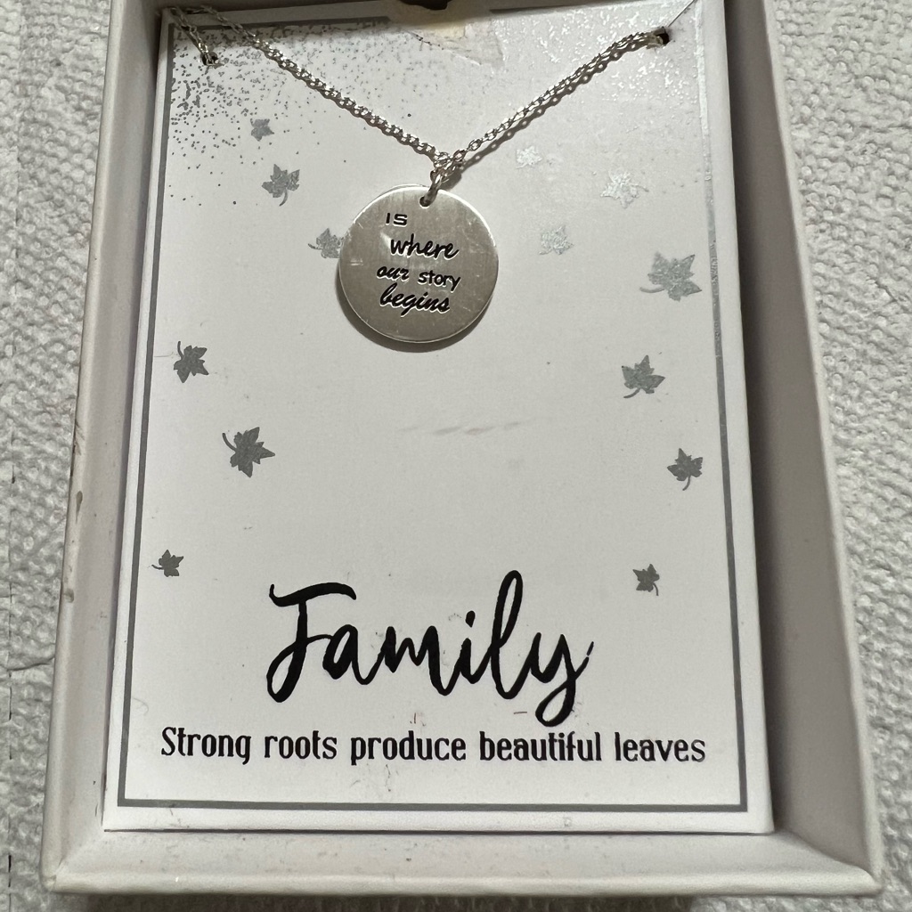 New Directions Brand New In Original Box Silver Tone Necklace